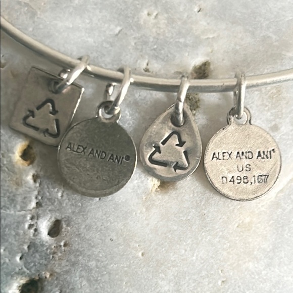 Alex and Ani Silver Tone Paw Print Medallion Charm Adjustable Wire Bracelet - Picture 4 of 6